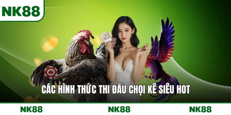 Các hình thức thi đấu chọi kê siêu HOT