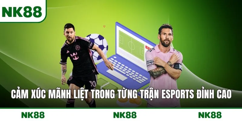 Cảm xúc mãnh liệt trong từng trận esports đỉnh cao