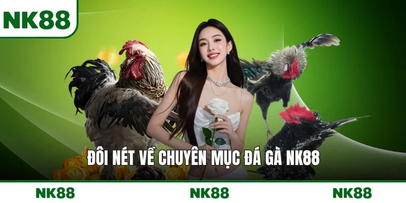 Đôi nét về chuyên mục đá gà NK88