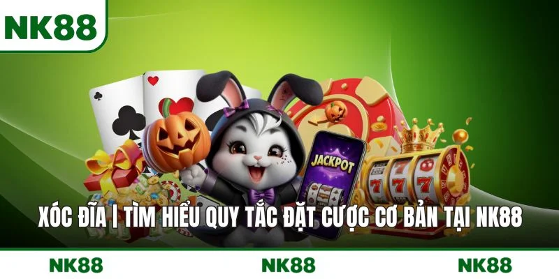 XÓC ĐĨA